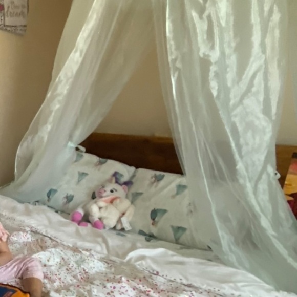 Princess Canopy - Picture 2 of 4